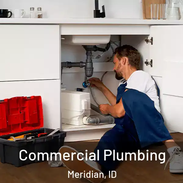  Commercial Plumbing Meridian, ID