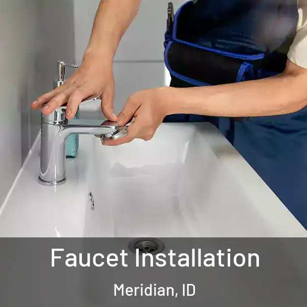  Faucet Installation Meridian, ID