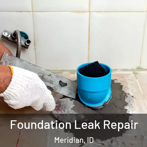  Foundation Leak Repair Meridian, ID