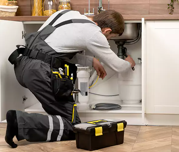 Certified Plumbers for Insinkerator Installation in Meridian