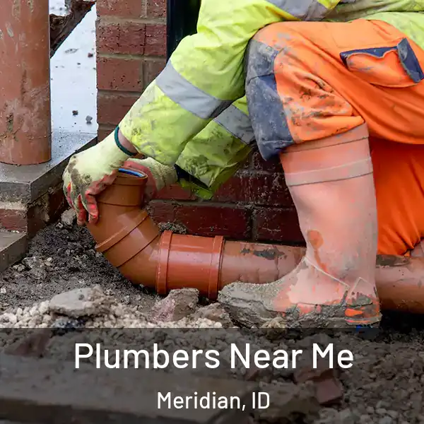  Plumbers Near Me Meridian, ID