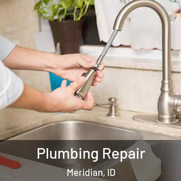  Plumbing Repair Meridian, ID