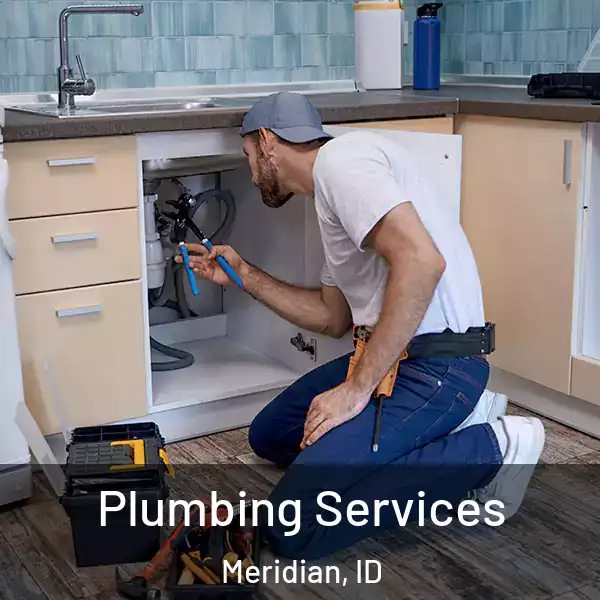 Plumbing Services Meridian, ID