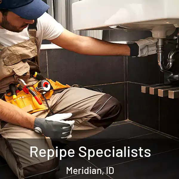  Repipe Specialists Meridian, ID