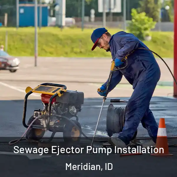  Sewage Ejector Pump Installation Meridian, ID