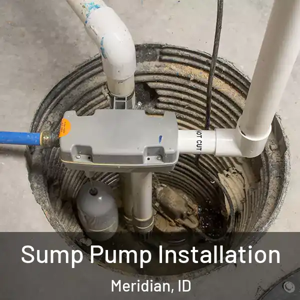  Sump Pump Installation Meridian, ID