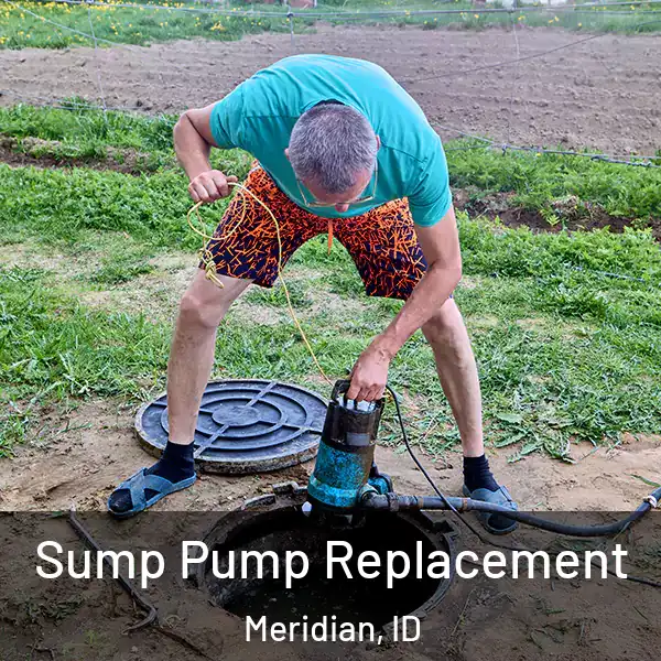  Sump Pump Replacement Meridian, ID