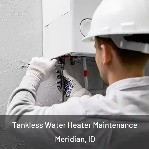  Tankless Water Heater Maintenance Meridian, ID