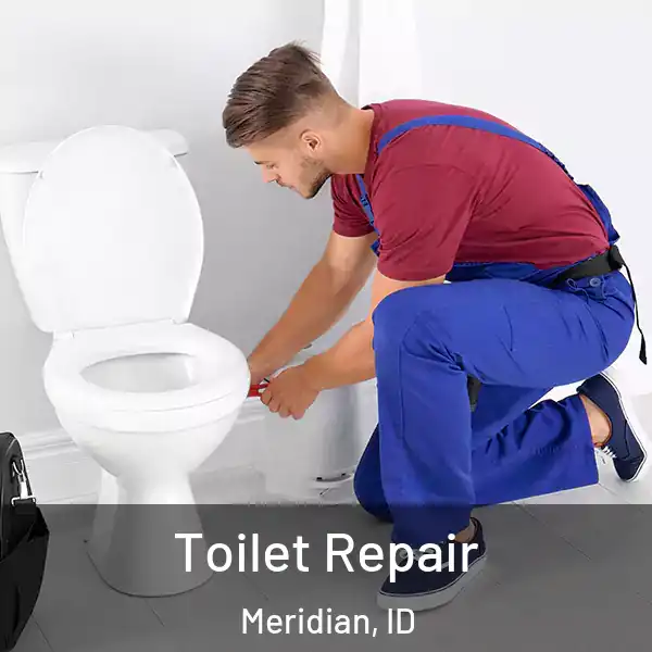  Toilet Repair Meridian, ID