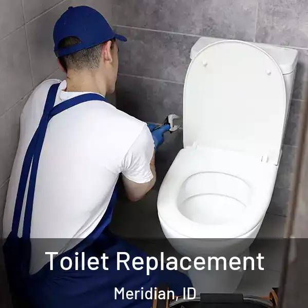  Toilet Replacement Meridian, ID