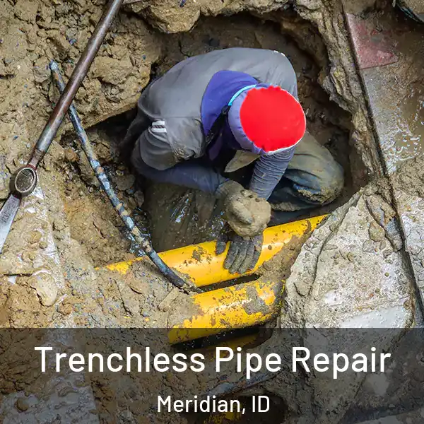  Trenchless Pipe Repair Meridian, ID
