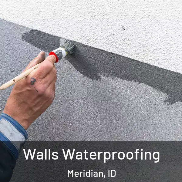  Walls Waterproofing Meridian, ID