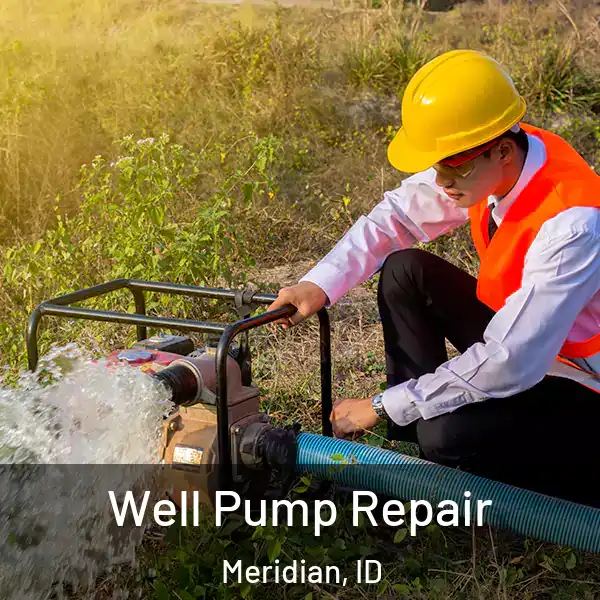  Well Pump Repair Meridian, ID